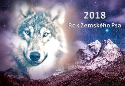 2018 Rok zemského psa